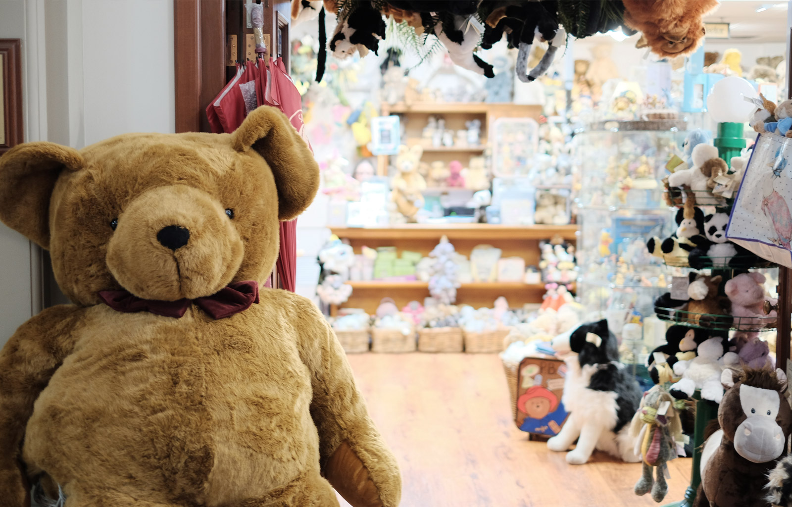 nearby teddy bear shop
